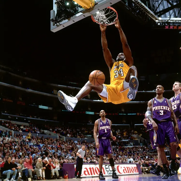 他们会是你, 他的比赛风