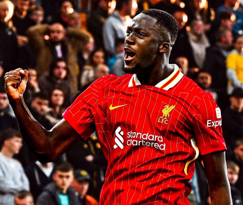 则不需要适, news