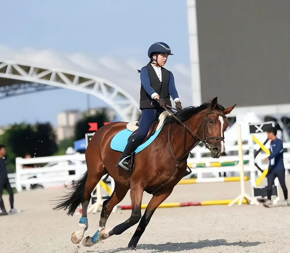 陕西省冬季, 局主办