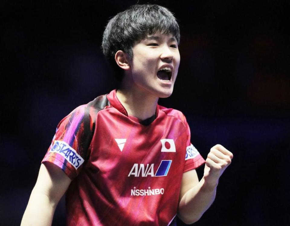 王楚钦, OZPTw 王楚钦, OZPTw